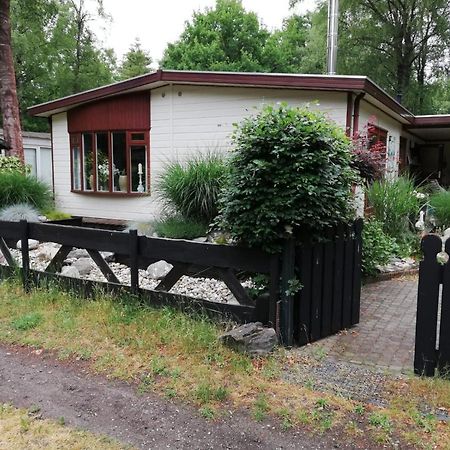 디센 Sfeervol, Ruim En Luxe Chalet In Bosrijke Omgeving 빌라 외부 사진