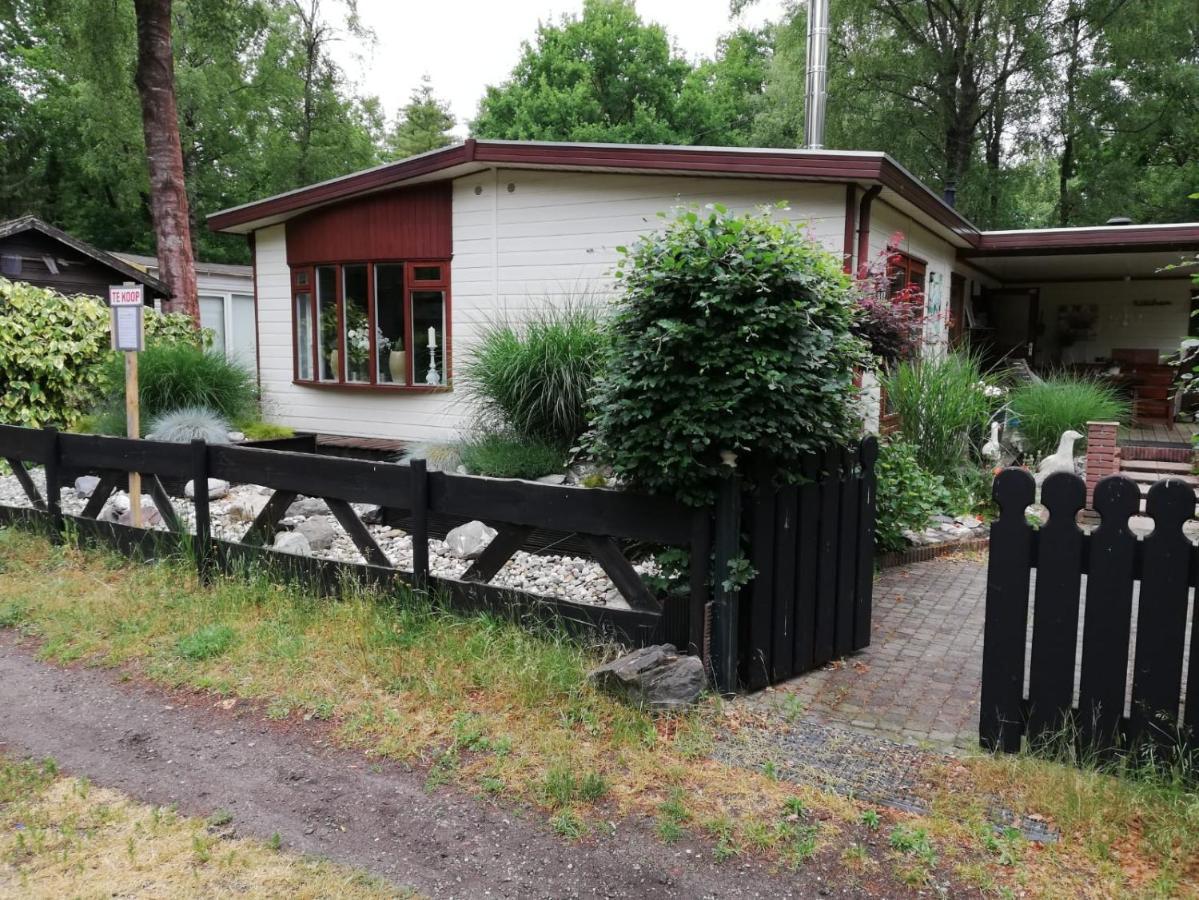 디센 Sfeervol, Ruim En Luxe Chalet In Bosrijke Omgeving 빌라 외부 사진
